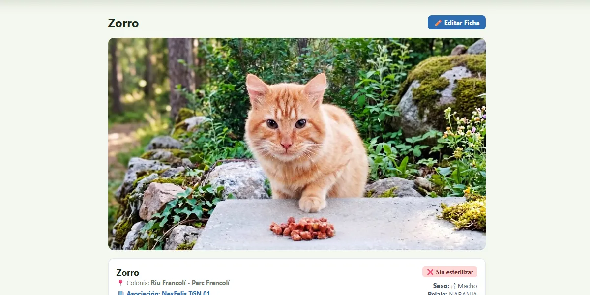 Panel de censo felino individualizado con fotografías, rasgos físicos y estado sanitario en NexFelis