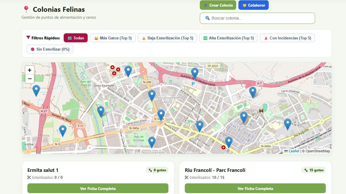 Mapa Felino de colonias en el municipio