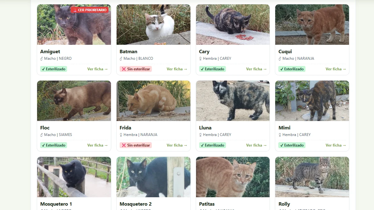 Gestión de Censo felino con foto